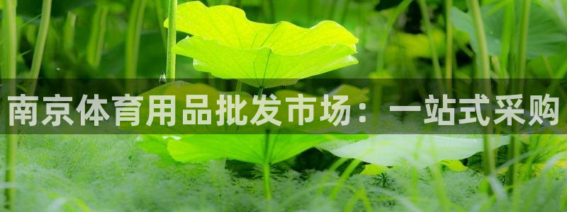 欧陆娱乐官网网址是多少：南京体育用品批发市场：一站式