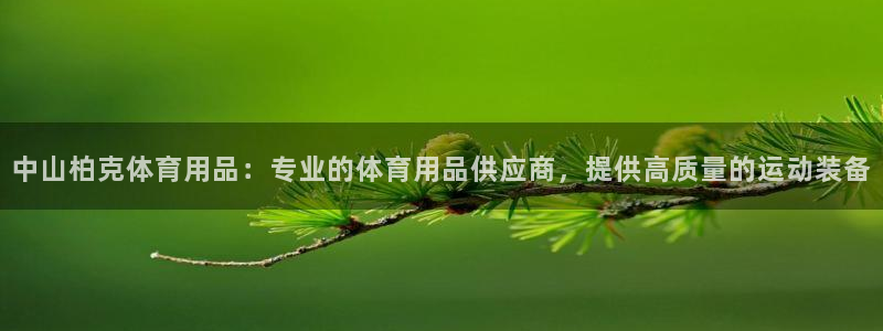 欧陆娱乐：中山柏克体育用品：专业的体育用品供应商，提