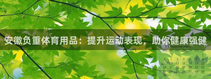 欧陆娱乐测速网站：安徽负重体育用品：提升运动表现，助