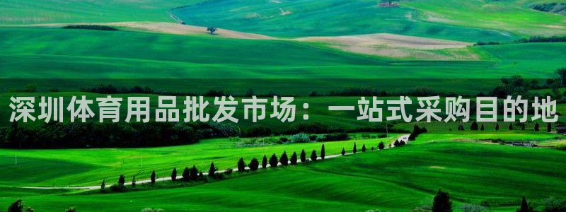 欧陆官网下载：深圳体育用品批发市场：一站式采购目的地