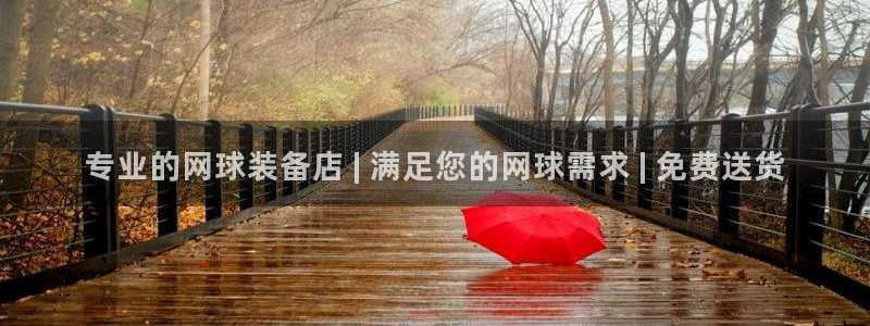 欧陆娱乐怎么注册会员账号：专业的网球装备店 | 满足
