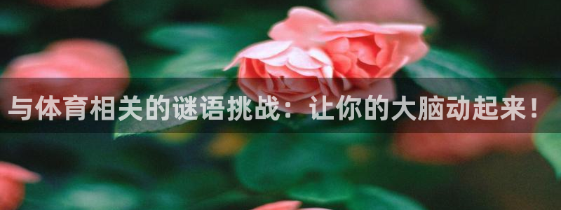 欧陆娱乐能赚钱吗知乎：与体育相关的谜语挑战：让你的大