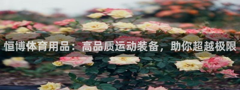 欧陆娱乐代理 贴吧怎么样：恒博体育用品：高品质运动装