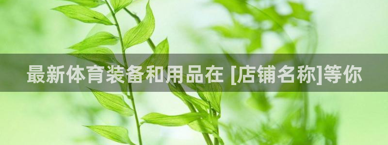 欧陆娱乐代理多少个点位可以赚钱：最新体育装备和用品在