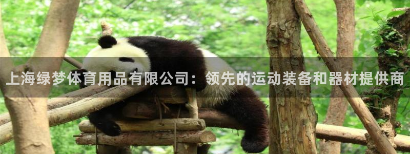 欧陆娱乐官方网站首页：上海绿梦体育用品有限公司：领先