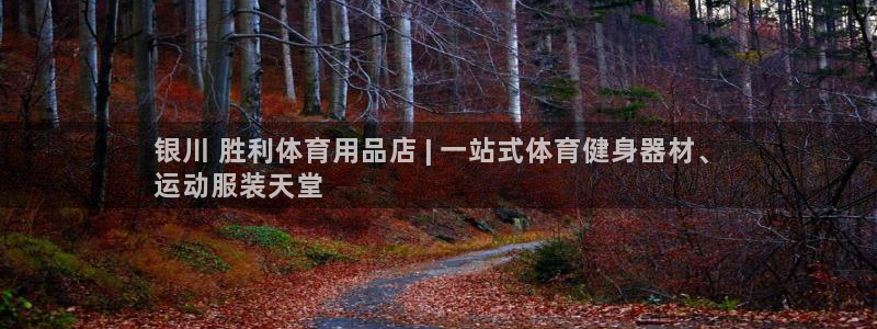 欧陆娱乐打什么方案赚钱：银川 胜利体育用品店 | 一