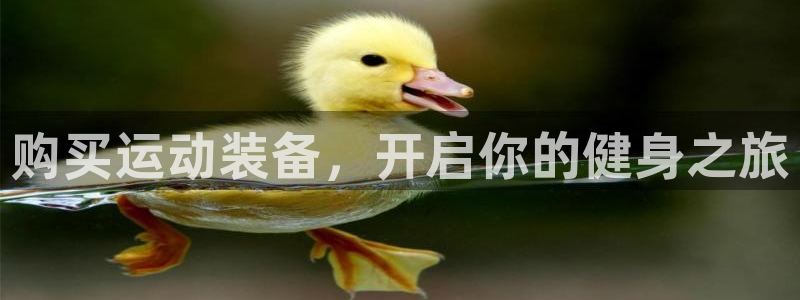 欧陆娱乐测速：购买运动装备，开启你的健身之旅