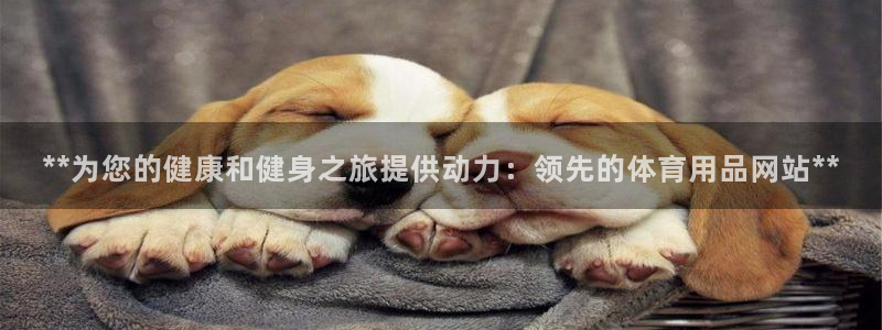 欧陆官方网站：**为您的健康和健身之旅提供动力：领先