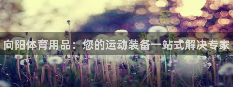 欧陆娱乐app攻略：向阳体育用品：您的运动装备一站式