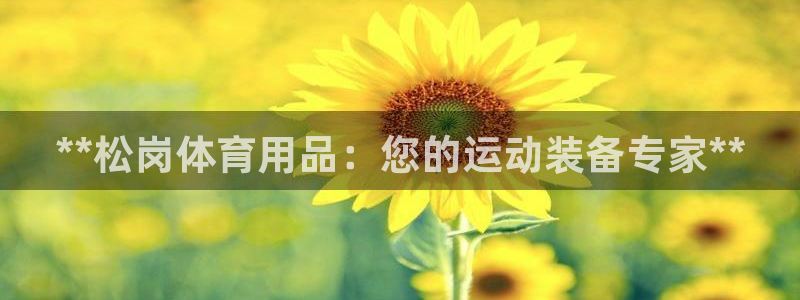 欧陆娱乐官方下载安装：**松岗体育用品：您的运动装备