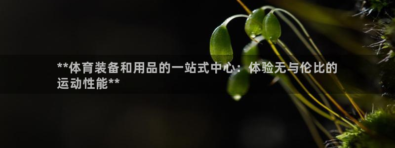 欧陆娱乐能提现嘛?：**体育装备和用品的一站式中心：