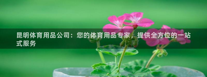 欧陆娱乐登陆平台下载：昆明体育用品公司：您的体育用品