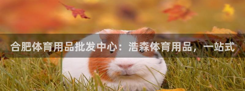 欧陆娱乐推广奖金多少：合肥体育用品批发中心：浩森体育