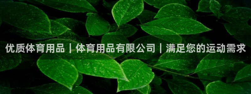 欧陆娱乐分分彩：优质体育用品｜体育用品有限公司｜满足
