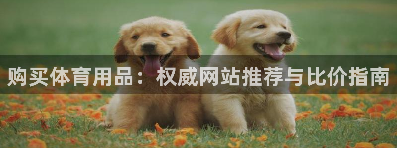欧陆娱乐客服服务电话：购买体育用品：权威网站推荐与比