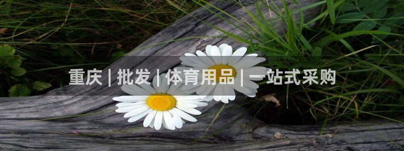 欧陆娱乐是正规吗?：重庆 | 批发 | 体育用品 |