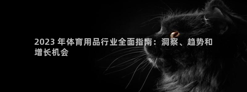 欧陆娱乐息7o777ts=0：2023 年体育用品行