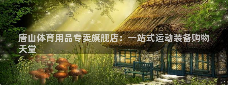 欧陆娱乐挂机怎么玩：唐山体育用品专卖旗舰店：一站式运