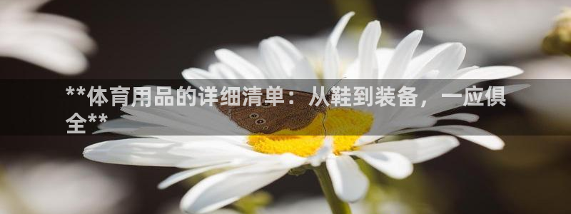 欧陆娱乐测试网站：**体育用品的详细清单：从鞋到装备