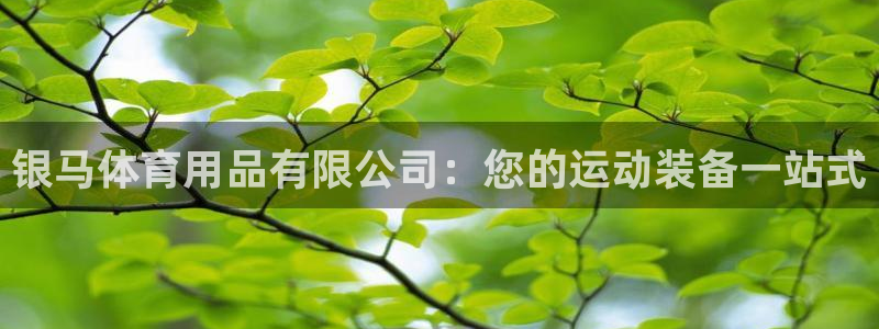 欧陆娱乐总代理是谁：银马体育用品有限公司：您的运动装