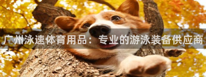 欧陆娱乐计划预测软件有哪些：广州泳速体育用品：专业的