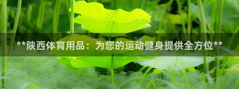 欧陆娱乐欧陆主管：**陕西体育用品：为您的运动健身提