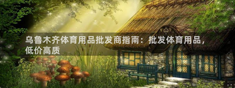 欧陆娱乐平台登陆地址：乌鲁木齐体育用品批发商指南：批