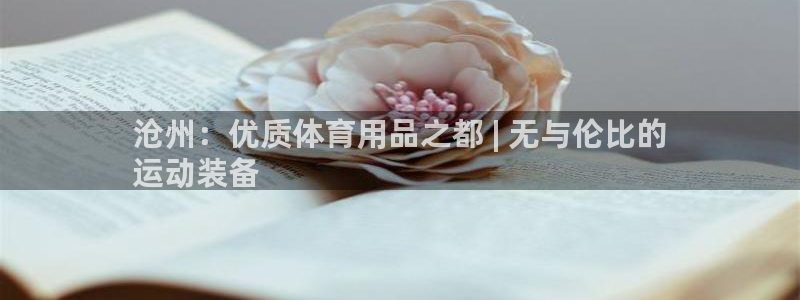 欧陆娱乐请输入USDT地址：沧州：优质体育用品之都 