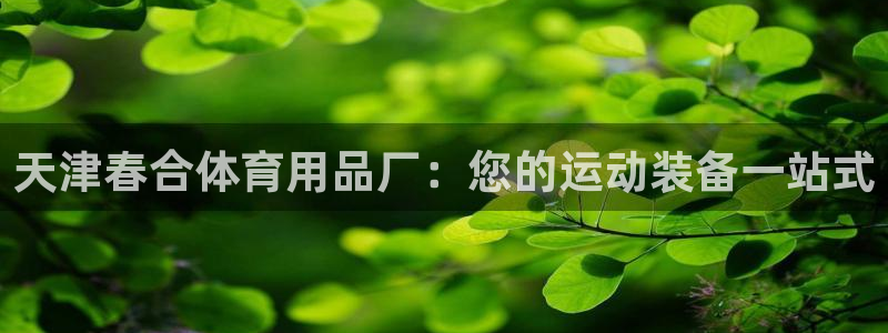 欧陆娱乐怎么注册：天津春合体育用品厂：您的运动装备一