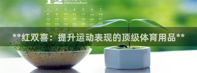 欧陆娱乐里面怎么看打排五：**红双喜：提升运动表现的