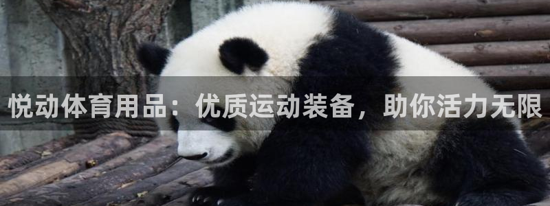 欧陆娱乐官网首页下载：悦动体育用品：优质运动装备，助