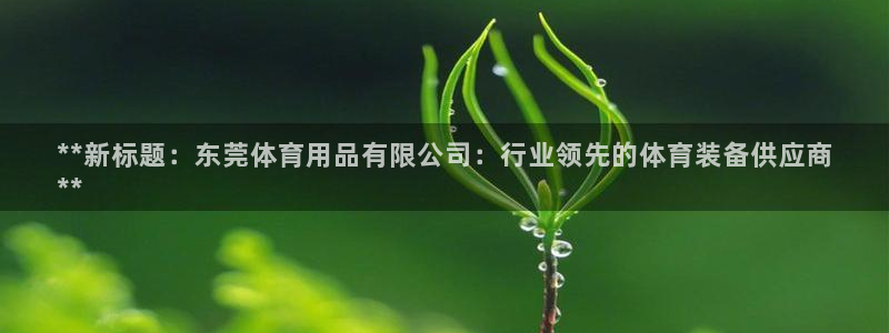 欧陆娱乐安全吗：**新标题：东莞体育用品有限公司：行