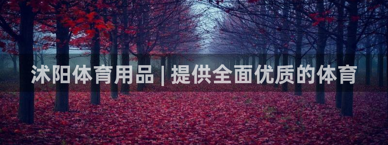 欧陆娱乐官网下载安装最新版：沭阳体育用品 | 提供全