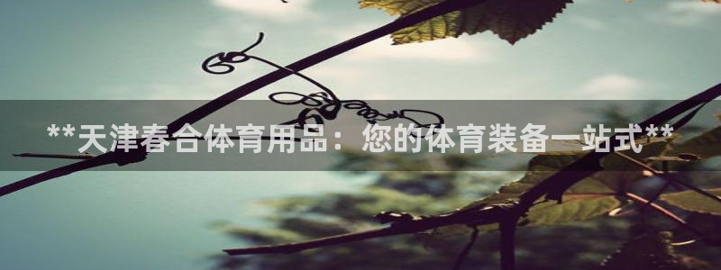 欧陆娱乐脚本怎么下载：**天津春合体育用品：您的体育