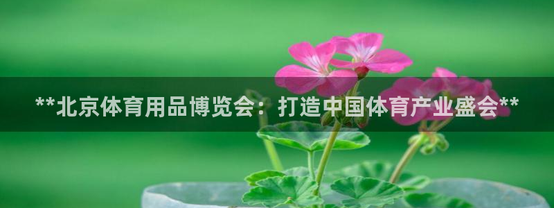 欧陆娱乐是干什么的：**北京体育用品博览会：打造中国