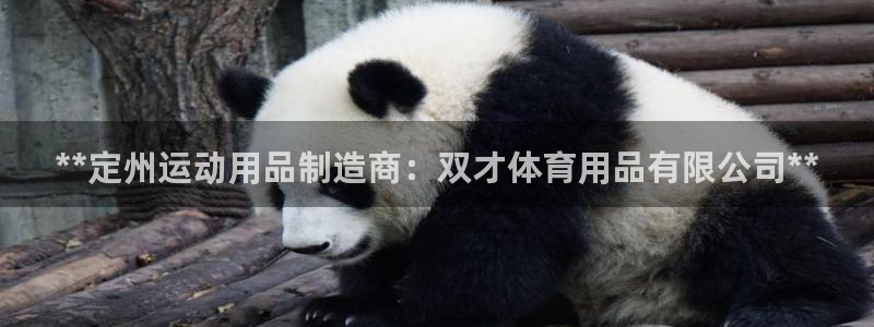 欧陆娱乐怎么注册帐号啊：**定州运动用品制造商：双才