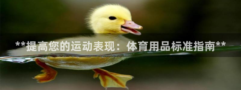 欧陆商城：**提高您的运动表现：体育用品标准指南**