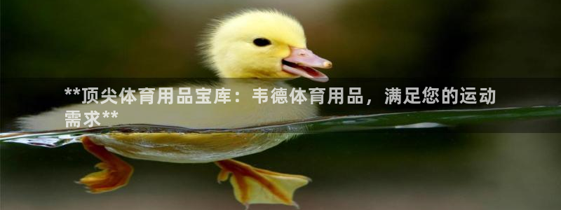 欧陆娱乐不让提现：**顶尖体育用品宝库：韦德体育用品
