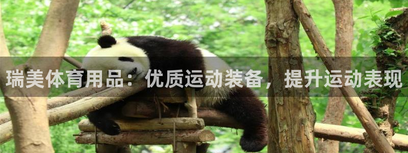 欧陆娱乐官方网站：瑞美体育用品：优质运动装备，提升运