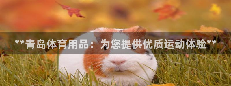 欧陆娱乐平台优势：**青岛体育用品：为您提供优质运动