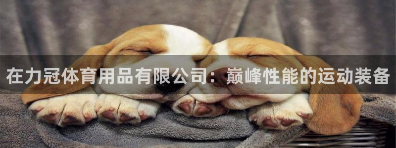 欧陆娱乐测速网站：在力冠体育用品有限公司：巅峰性能的