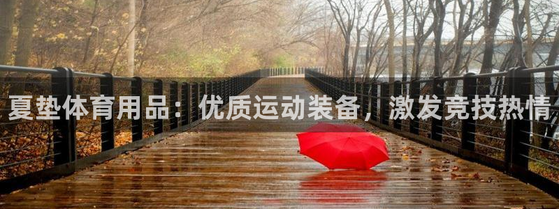 欧陆娱乐注册链接安全吗：夏垫体育用品：优质运动装备，