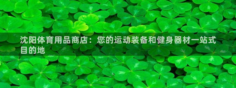 欧陆娱乐官方下载安装：沈阳体育用品商店：您的运动装备