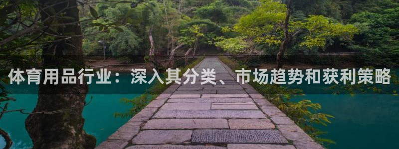 欧陆娱乐app下载：体育用品行业：深入其分类、市场趋