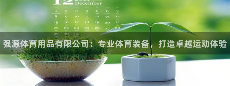 欧陆娱乐简介：强源体育用品有限公司：专业体育装备，打