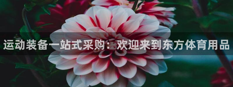 欧陆娱乐计划预测软件：运动装备一站式采购：欢迎来到东