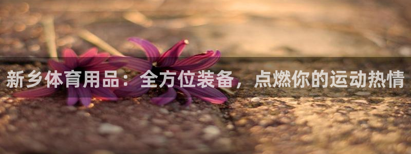 欧陆娱乐能不能玩：新乡体育用品：全方位装备，点燃你的