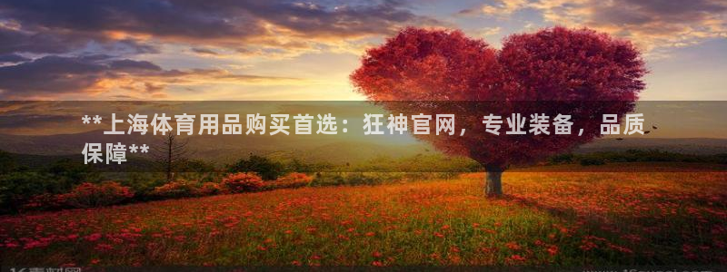 欧陆娱乐计划预测软件下载：**上海体育用品购买首选：