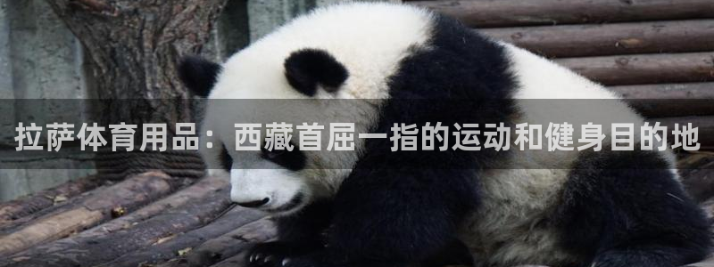欧陆娱乐公司产品介绍怎么写：拉萨体育用品：西藏首屈一