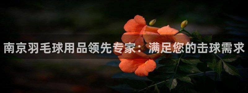 欧陆娱乐脚本下载：南京羽毛球用品领先专家：满足您的击